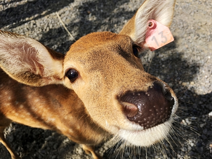 20161201~1215 阿里山、墾丁、綠島、武嶺放空之旅 (三) 高雄、墾丁、台東