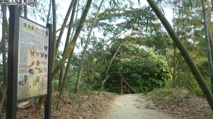 林內龍過脈登山步道,運動、旅遊、賞景皆適宜~