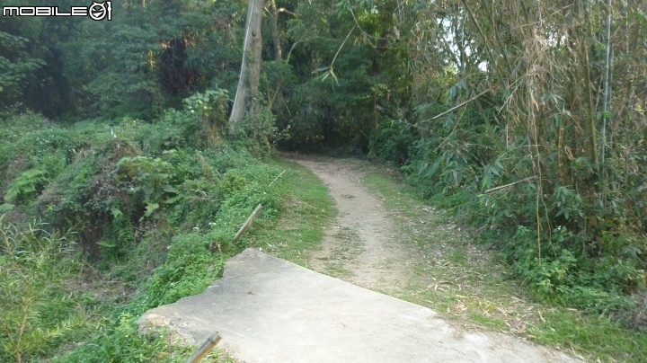 林內龍過脈登山步道,運動、旅遊、賞景皆適宜~