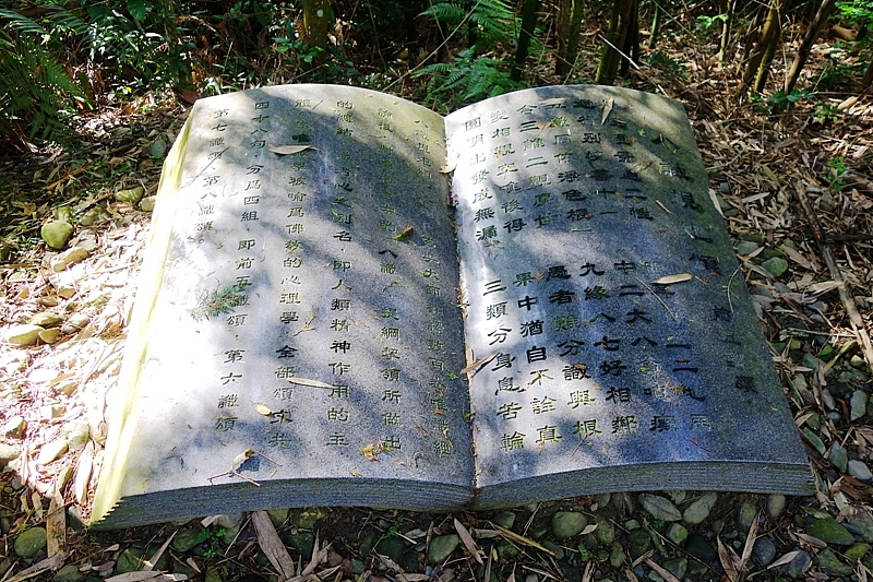 20161201~1215 阿里山、墾丁、綠島、武嶺放空之旅 (一)日月潭、阿里山、嘉義行程
