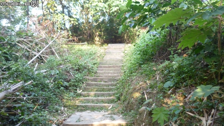 林內龍過脈登山步道,運動、旅遊、賞景皆適宜~