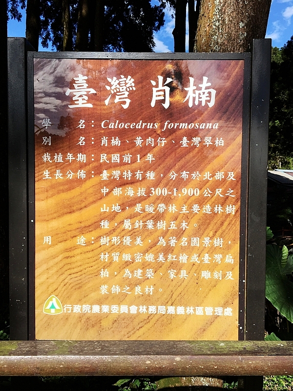 20161201~1215 阿里山、墾丁、綠島、武嶺放空之旅 (一)日月潭、阿里山、嘉義行程