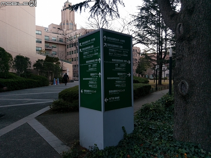 日本東京自由行01/16~01/19(語言不通)DAY1~DAY4 一次看到飽!!(歸國補發~圖多慎入)