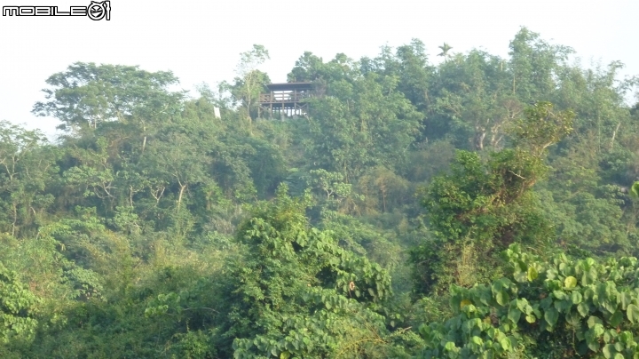 林內龍過脈登山步道,運動、旅遊、賞景皆適宜~