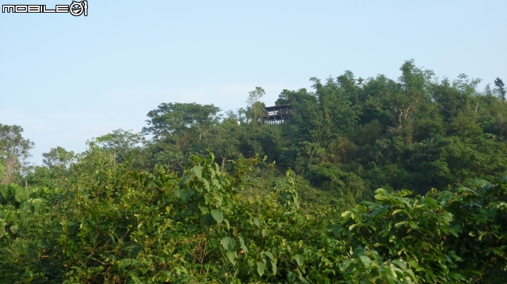 林內龍過脈登山步道,運動、旅遊、賞景皆適宜~
