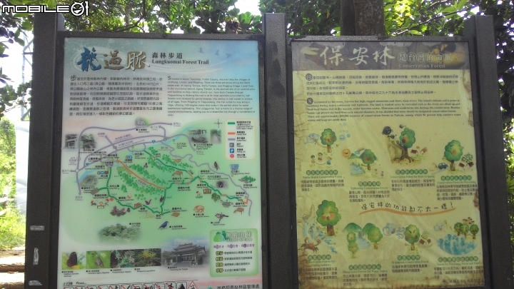 林內龍過脈登山步道,運動、旅遊、賞景皆適宜~