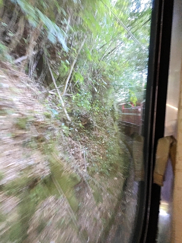 20161201~1215 阿里山、墾丁、綠島、武嶺放空之旅 (一)日月潭、阿里山、嘉義行程