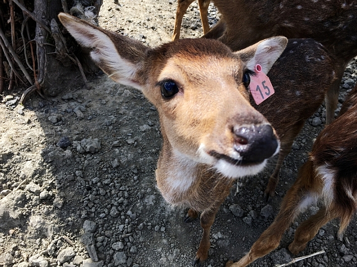 20161201~1215 阿里山、墾丁、綠島、武嶺放空之旅 (三) 高雄、墾丁、台東