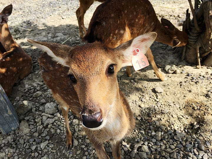 20161201~1215 阿里山、墾丁、綠島、武嶺放空之旅 (三) 高雄、墾丁、台東