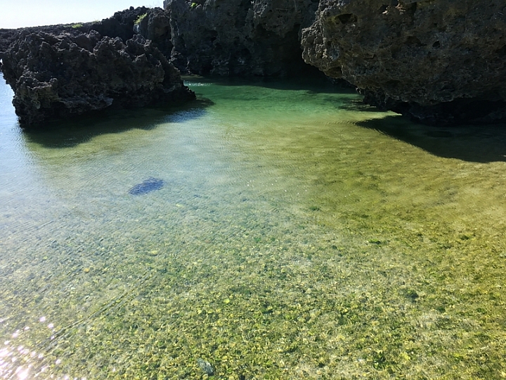 20161201~1215 阿里山、墾丁、綠島、武嶺放空之旅 (三) 高雄、墾丁、台東