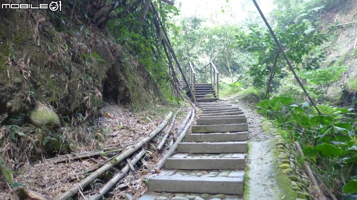 林內龍過脈登山步道,運動、旅遊、賞景皆適宜~