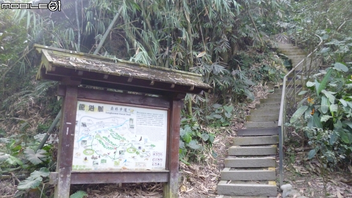 林內龍過脈登山步道,運動、旅遊、賞景皆適宜~