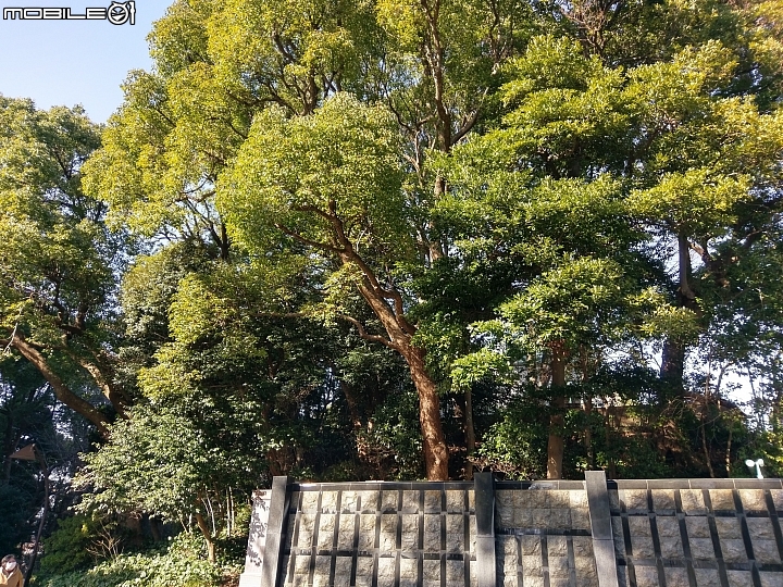 日本東京自由行01/16~01/19(語言不通)DAY1~DAY4 一次看到飽!!(歸國補發~圖多慎入)