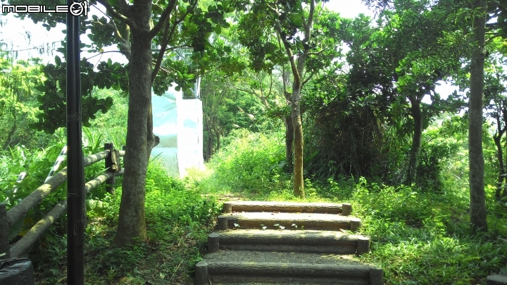 林內龍過脈登山步道,運動、旅遊、賞景皆適宜~