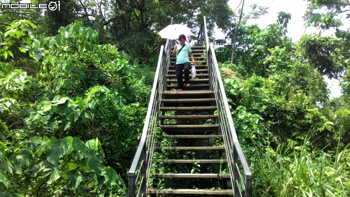 林內龍過脈登山步道,運動、旅遊、賞景皆適宜~