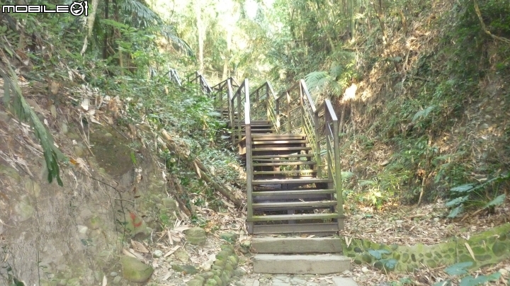林內龍過脈登山步道,運動、旅遊、賞景皆適宜~
