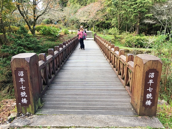 20161201~1215 阿里山、墾丁、綠島、武嶺放空之旅 (一)日月潭、阿里山、嘉義行程