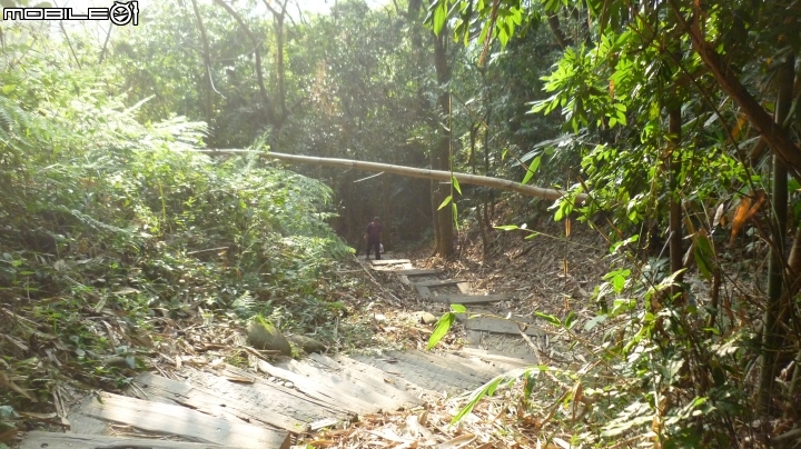 林內龍過脈登山步道,運動、旅遊、賞景皆適宜~