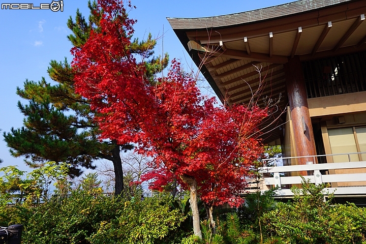 嚴島神社 以海上大鳥居而聞名的世界遺產
