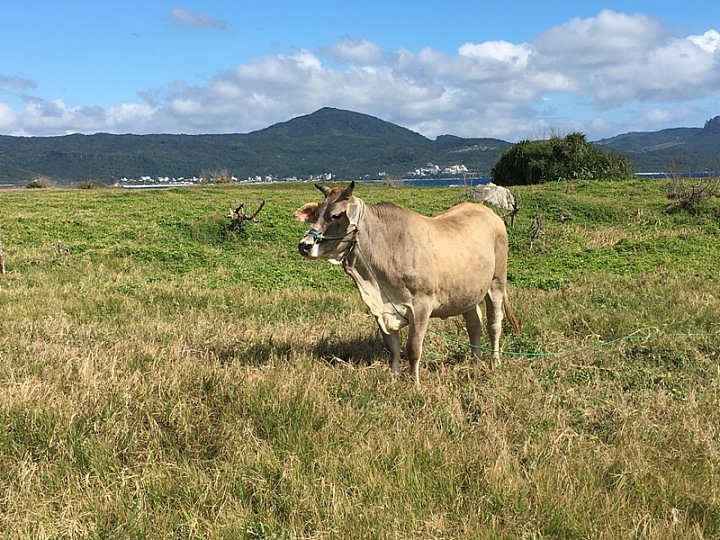 20161201~1215 阿里山、墾丁、綠島、武嶺放空之旅 (三) 高雄、墾丁、台東