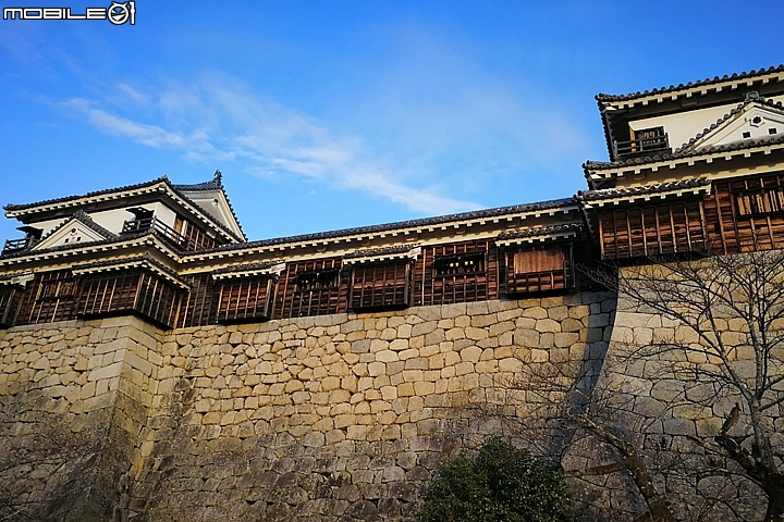 松山市電一日券 暢遊松山城與大街道