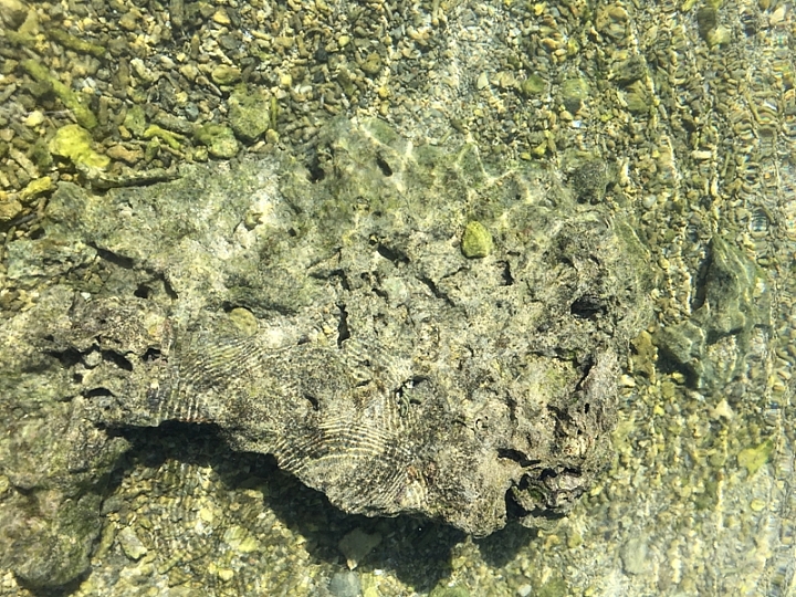 20161201~1215 阿里山、墾丁、綠島、武嶺放空之旅 (三) 高雄、墾丁、台東