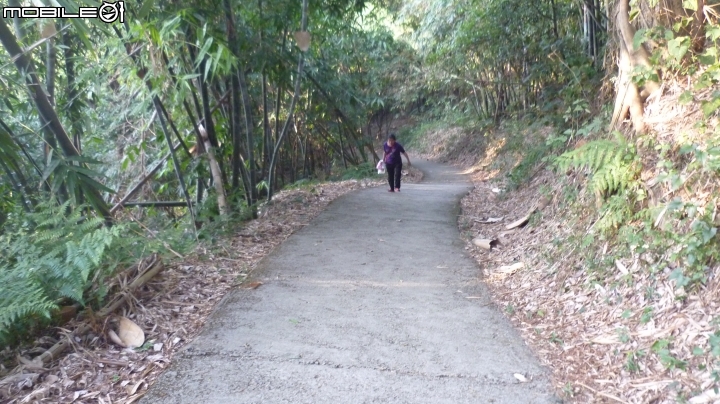 林內龍過脈登山步道,運動、旅遊、賞景皆適宜~