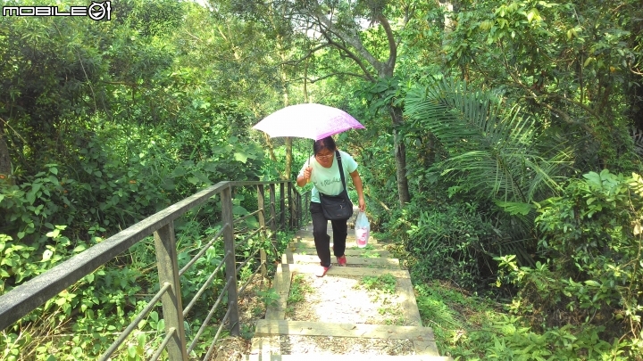 林內龍過脈登山步道,運動、旅遊、賞景皆適宜~