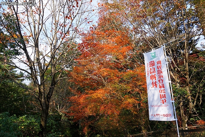 嚴島神社 以海上大鳥居而聞名的世界遺產