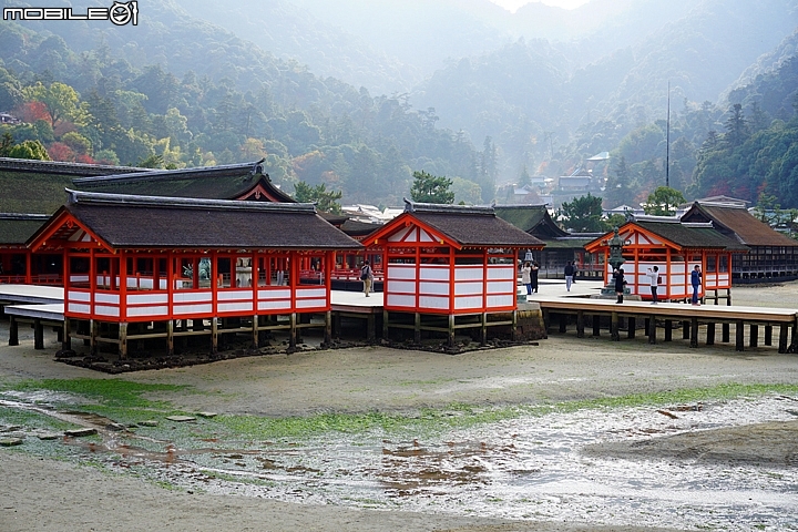 嚴島神社 以海上大鳥居而聞名的世界遺產