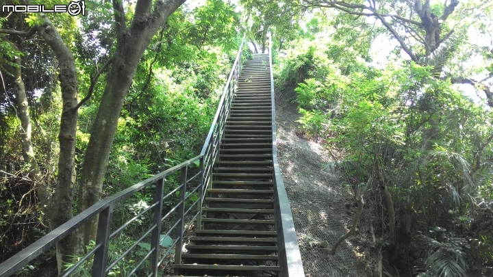 林內龍過脈登山步道,運動、旅遊、賞景皆適宜~