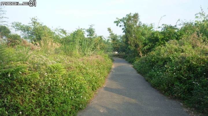 林內龍過脈登山步道,運動、旅遊、賞景皆適宜~