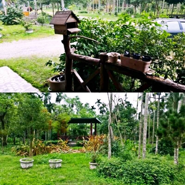 【花蓮瑞穗私房景點】來養和屋住一晚,必去文旦驛站和檳城農莊