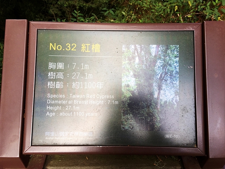 20161201~1215 阿里山、墾丁、綠島、武嶺放空之旅 (一)日月潭、阿里山、嘉義行程