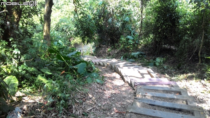 林內龍過脈登山步道,運動、旅遊、賞景皆適宜~