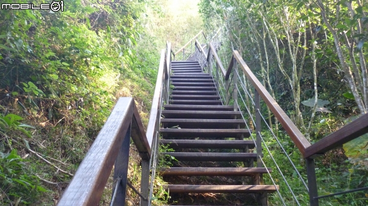 林內龍過脈登山步道,運動、旅遊、賞景皆適宜~