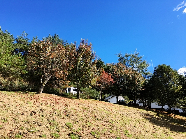 20161201~1215 阿里山、墾丁、綠島、武嶺放空之旅 (一)日月潭、阿里山、嘉義行程