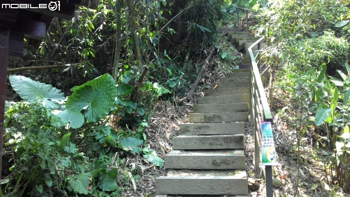 林內龍過脈登山步道,運動、旅遊、賞景皆適宜~