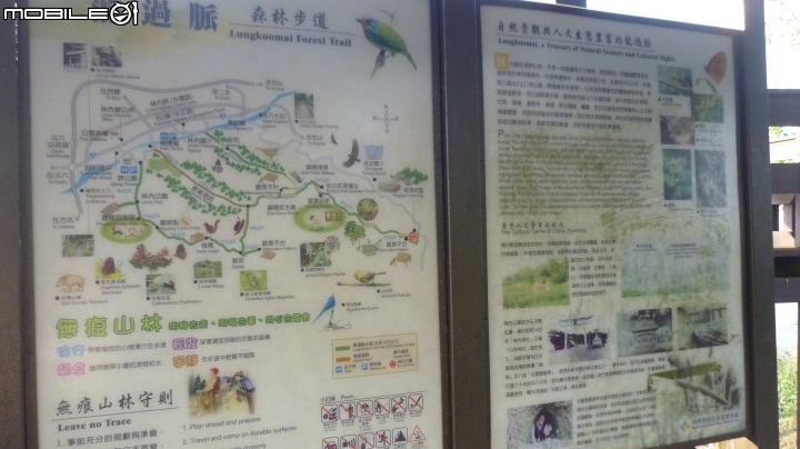 林內龍過脈登山步道,運動、旅遊、賞景皆適宜~