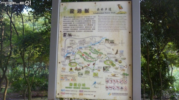 林內龍過脈登山步道,運動、旅遊、賞景皆適宜~