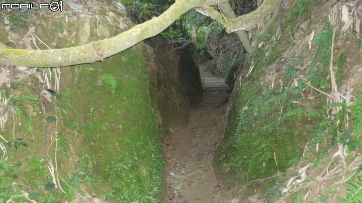 林內龍過脈登山步道,運動、旅遊、賞景皆適宜~
