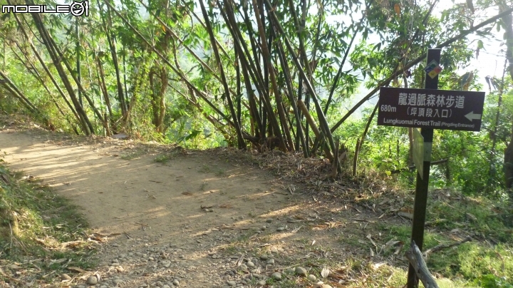 林內龍過脈登山步道,運動、旅遊、賞景皆適宜~