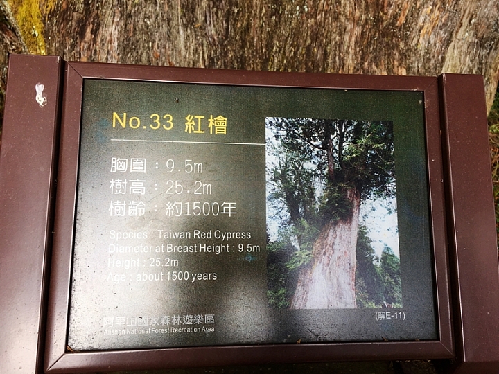 20161201~1215 阿里山、墾丁、綠島、武嶺放空之旅 (一)日月潭、阿里山、嘉義行程