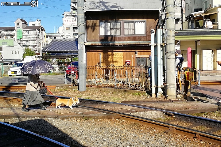 道後溫泉本館 日本最古老溫泉 神隱少女的場景