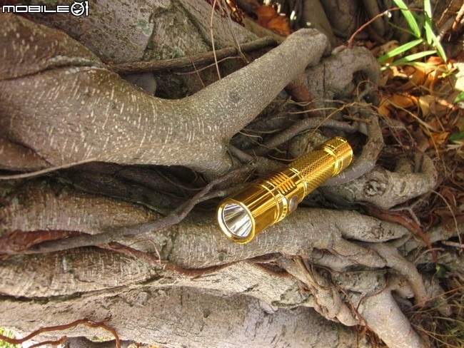 ACEBEAM EC35 黃金甲♥同花順一條龍♥