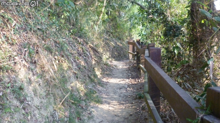 林內龍過脈登山步道,運動、旅遊、賞景皆適宜~