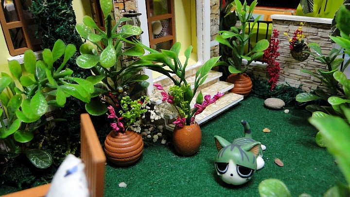 【分享】獨棟袖珍透天厝:愛情公寓 Love House