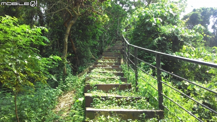 林內龍過脈登山步道,運動、旅遊、賞景皆適宜~