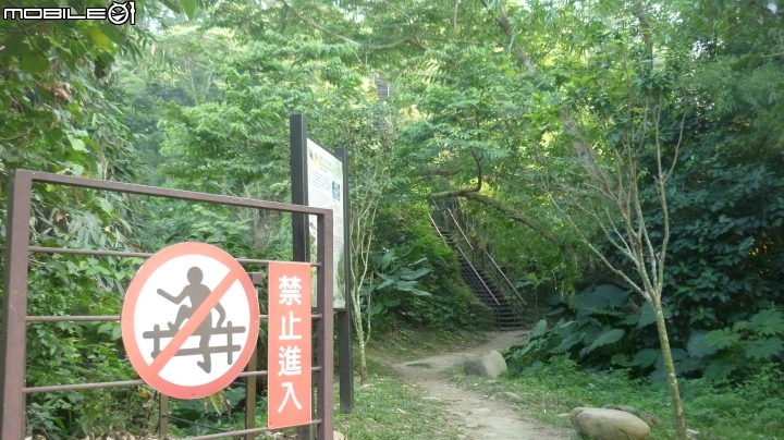 林內龍過脈登山步道,運動、旅遊、賞景皆適宜~