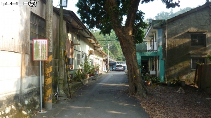 林內龍過脈登山步道,運動、旅遊、賞景皆適宜~